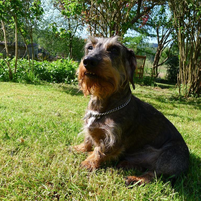 Un Gite Dans La Vallee Obersteinbach Exterior photo