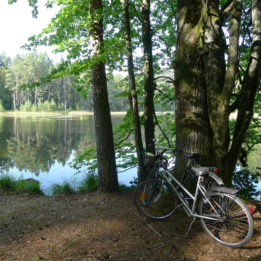 Un Gite Dans La Vallee Obersteinbach Exterior photo
