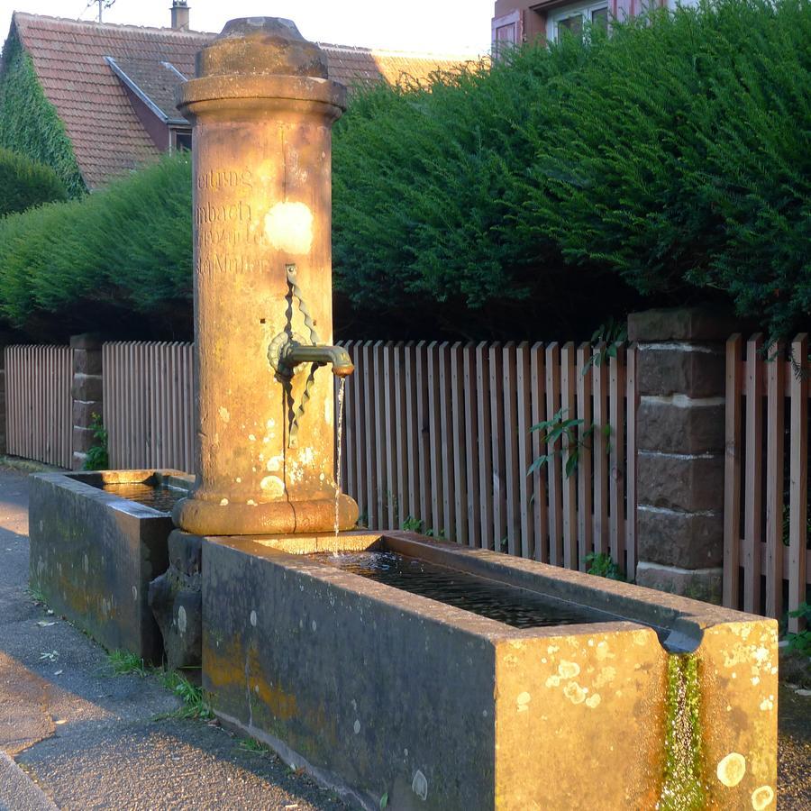 Un Gite Dans La Vallee Obersteinbach Exterior photo