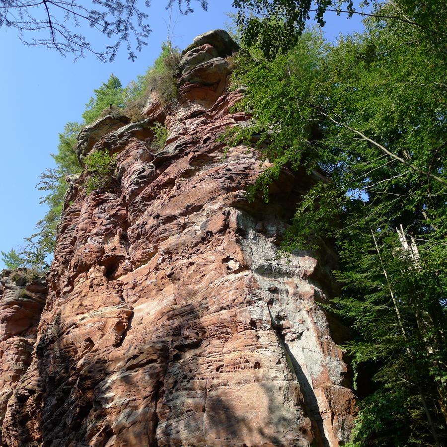 Un Gite Dans La Vallee Obersteinbach Exterior photo