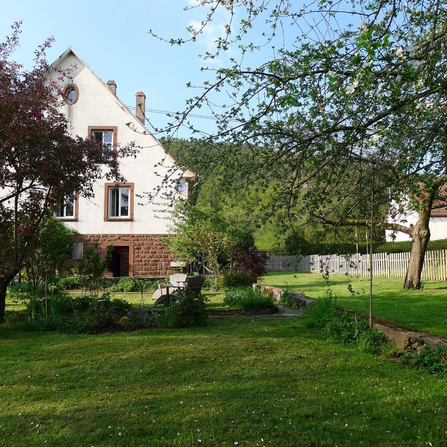 Un Gite Dans La Vallee Obersteinbach Exterior photo