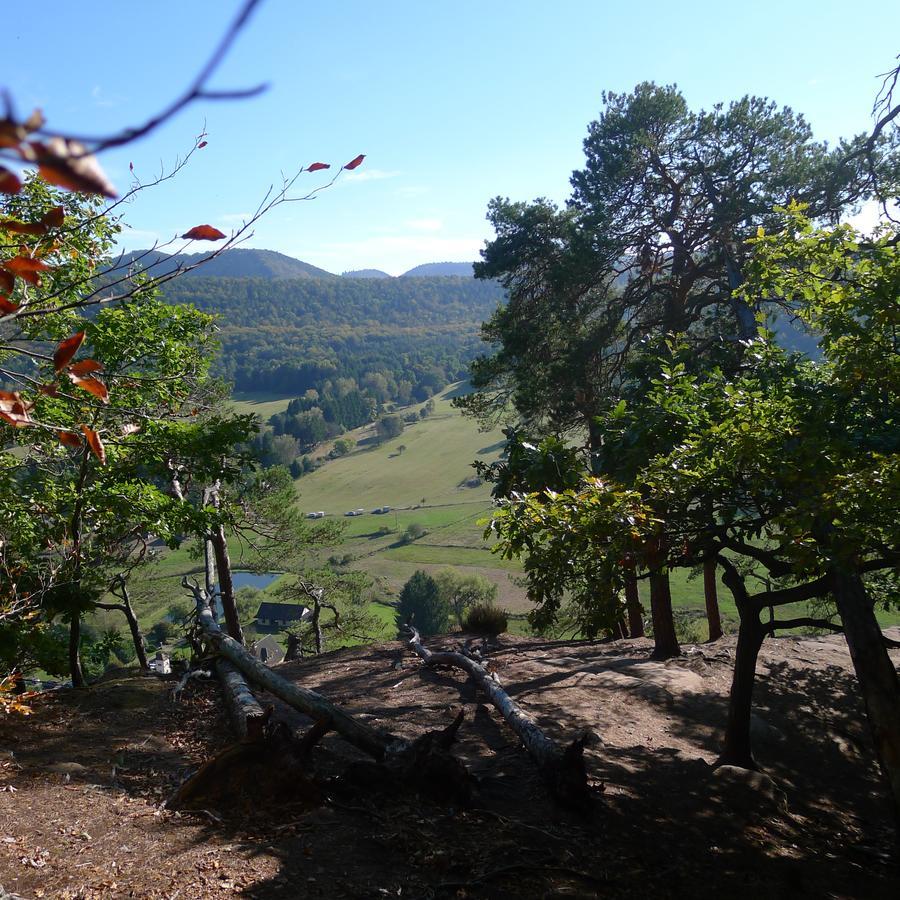 Un Gite Dans La Vallee Obersteinbach Exterior photo